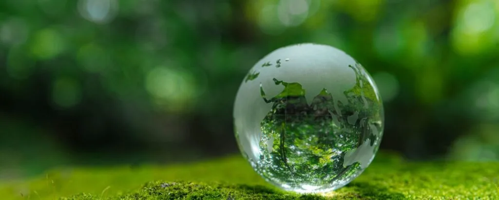 Commitment to Sustainability